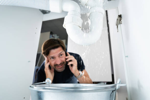 Best Affordable Plumber Near Me  in Waterman, IL