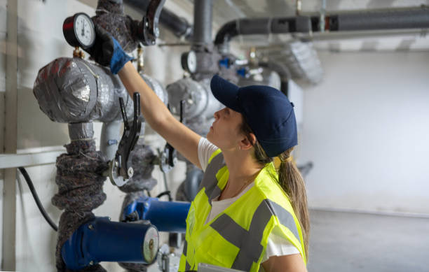 Best Clogged Drain Plumber  in Waterman, IL