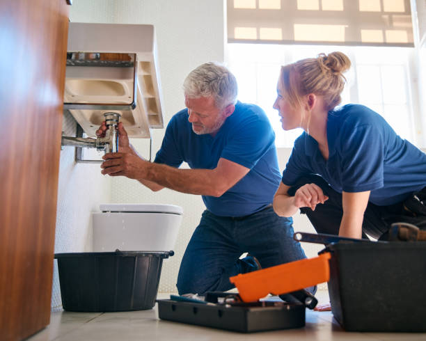Best Local Plumber Services  in Waterman, IL